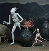 Official NECA Alien Covenant - 7" Scale Action Figure - Neomorph